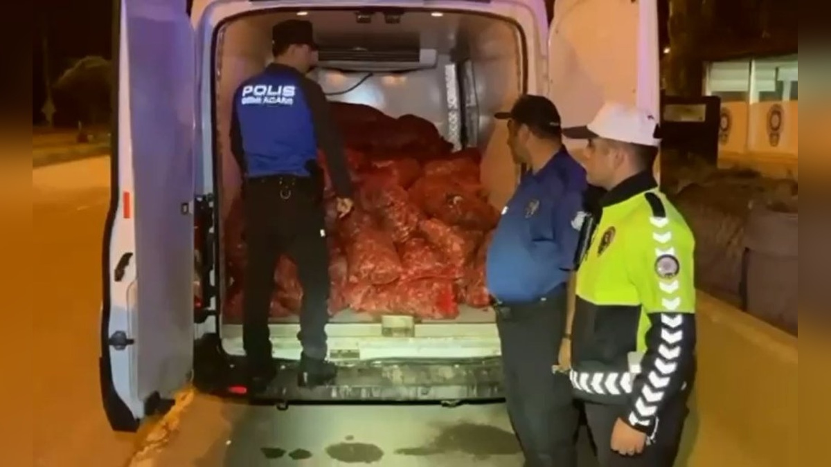 Samsun'da kaçak midye operasyonu: 51 bin lira ceza