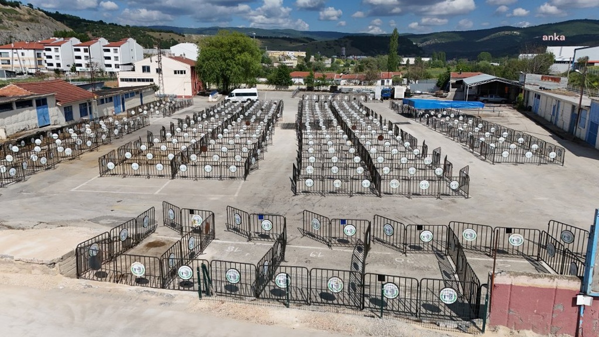 Bozüyük'te kurbanlık satış alanları hazır