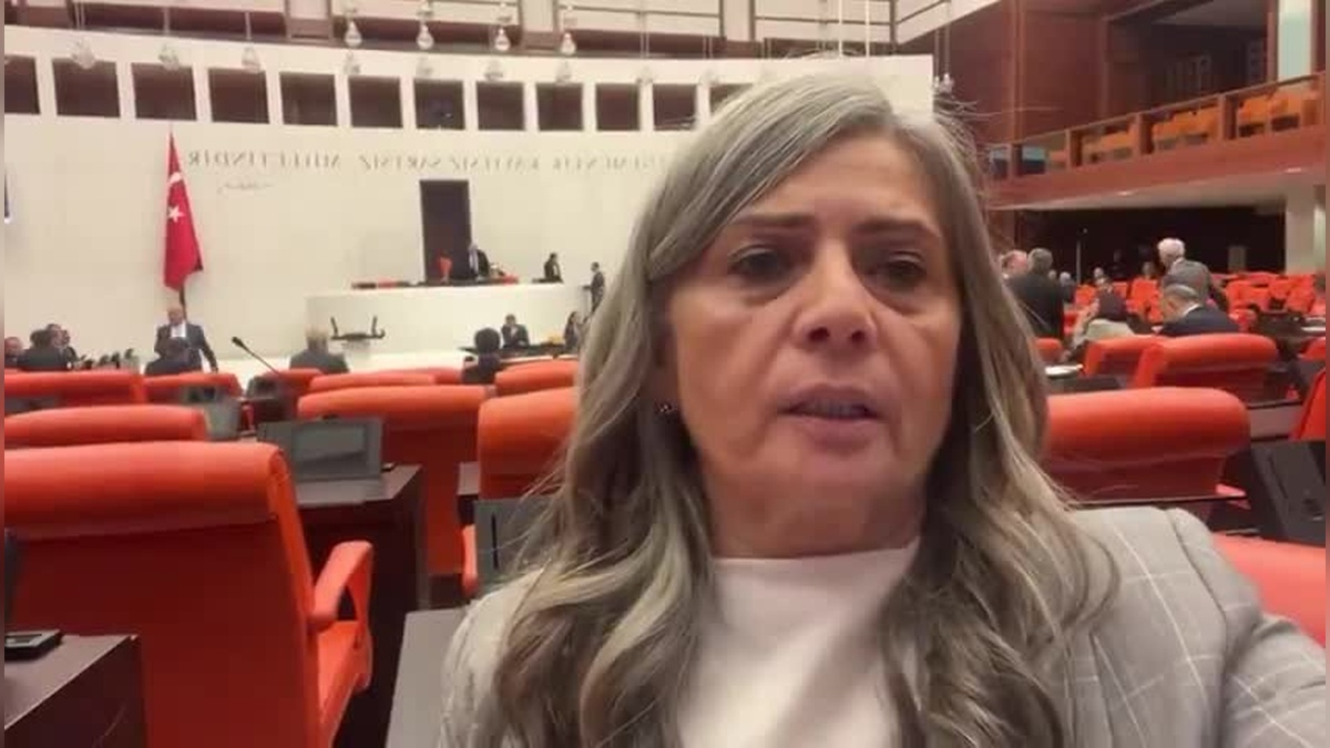 Suiçmez'den 'Duran Adam' eylemine gözaltı tepkisi