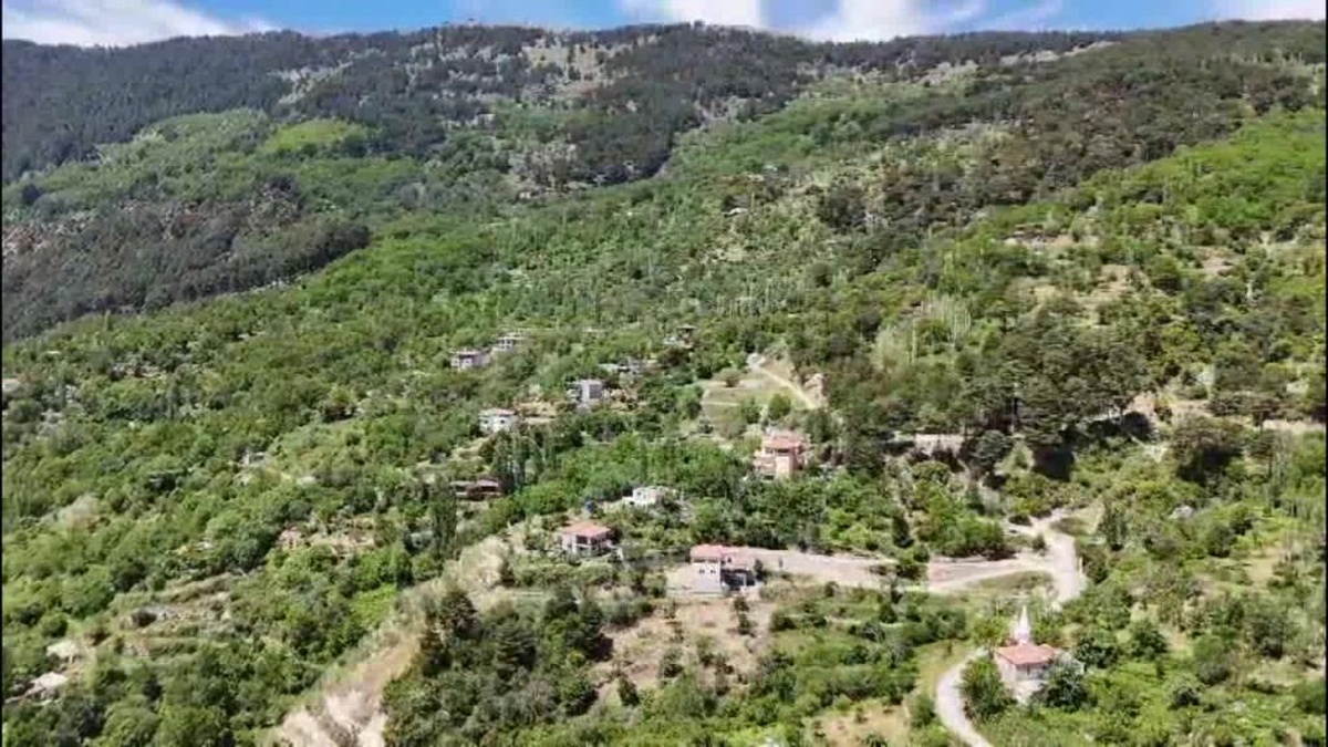 Madran Dağı RES Projesi: Çevreciler 'Doğayı talan ettirmeyeceğiz' dedi