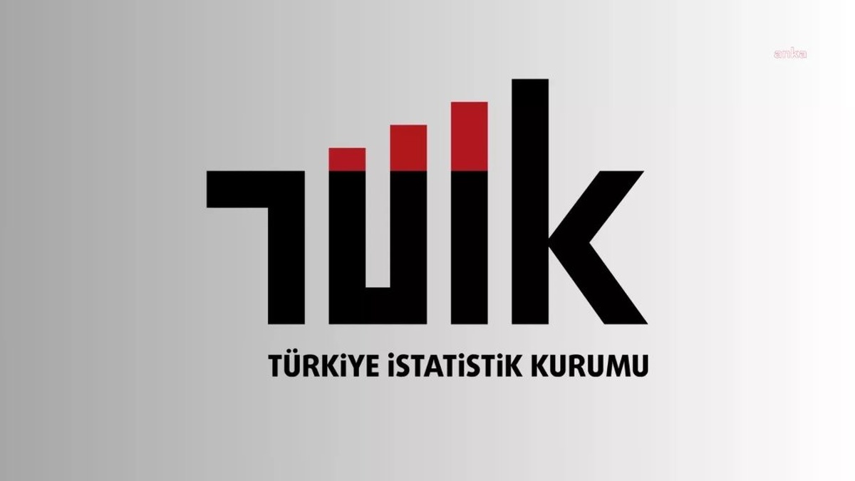 TÜİK: Yükseköğretim Mezun Oranı Yüzde 44,9'a Çıktı