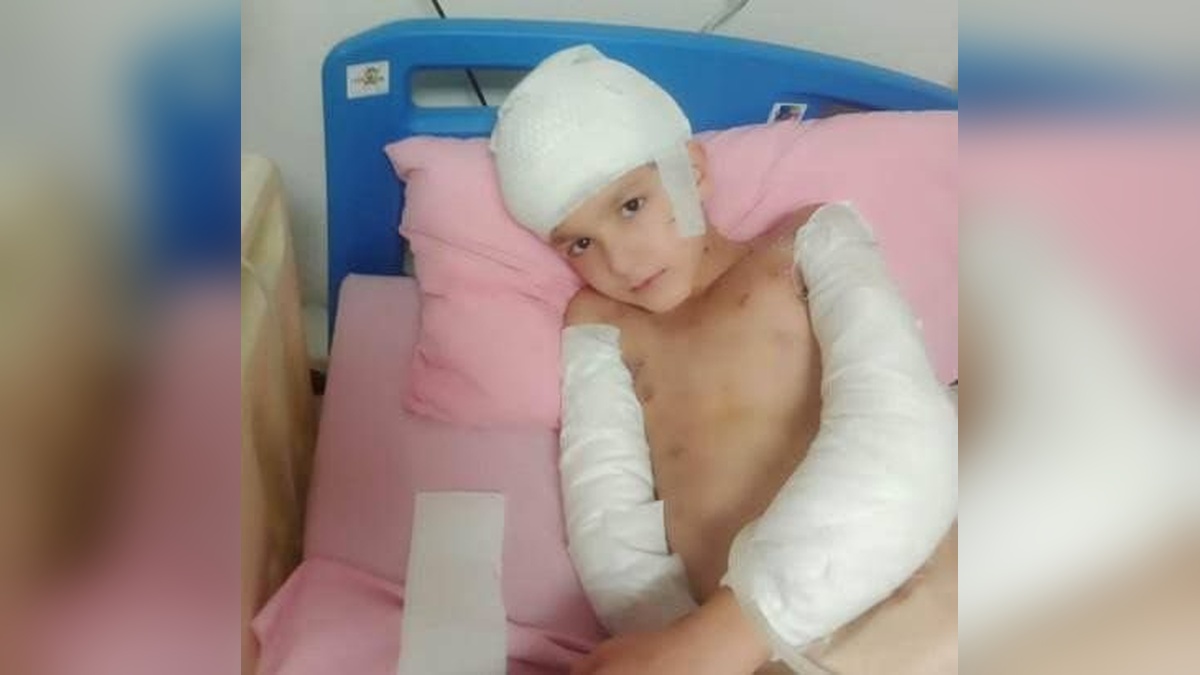 Ankara'da köpek saldırısına uğrayan Tunahan Yılmaz davasında beraat kararı: Gerekçe açıklandı