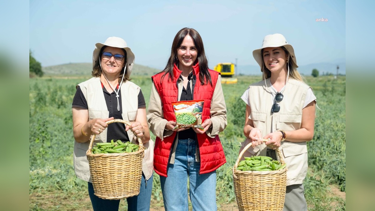 SuperFresh'in Tarımın Kadın Yıldızları projesi: Ege'den hasat edilen ilk bezelyeler Migros'ta