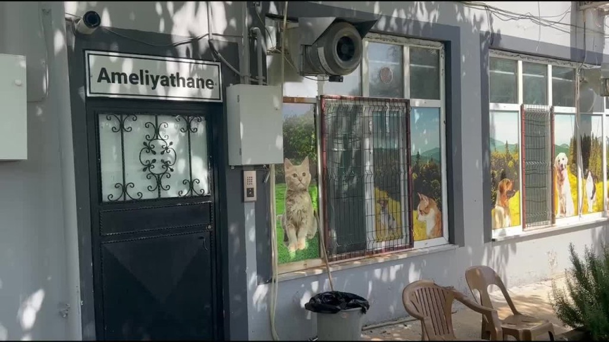 Adıyaman'da modern hayvan barınağı bin can dostuna umut oldu