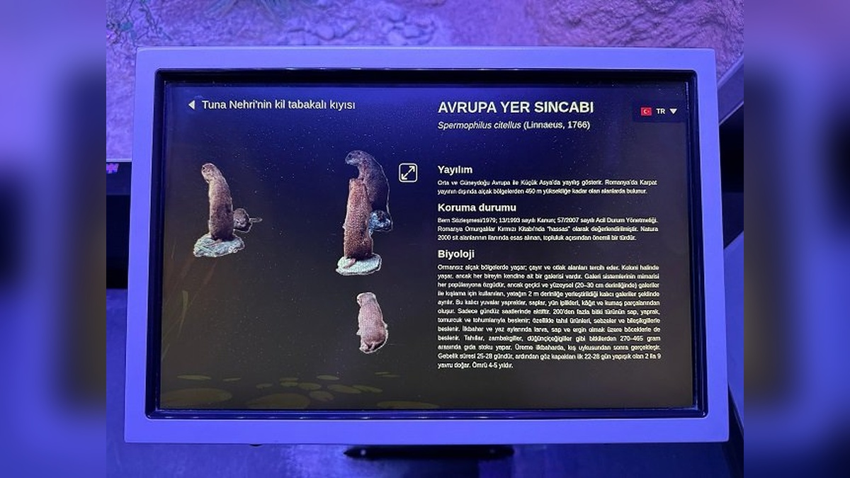 Rehberim Türkçe Projesi: Bükreş'teki Antipa Müzesi'nde Türkçe rehberlik hizmeti başladı
