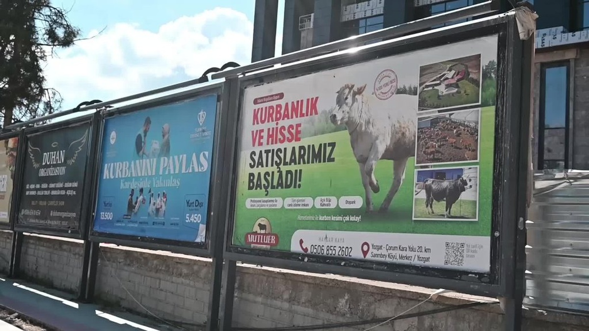 Yozgat'ta kurban fiyatları yükseldi: Vatandaşlar yurtdışı kurban kesimine yöneliyor