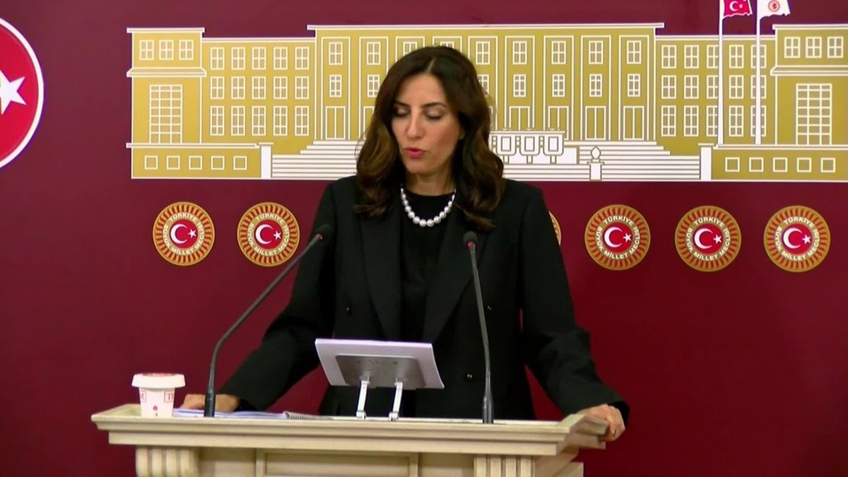 Rızvanoğlu: Orman yangınları sadece doğa olayı değil, siyasi bir tercih