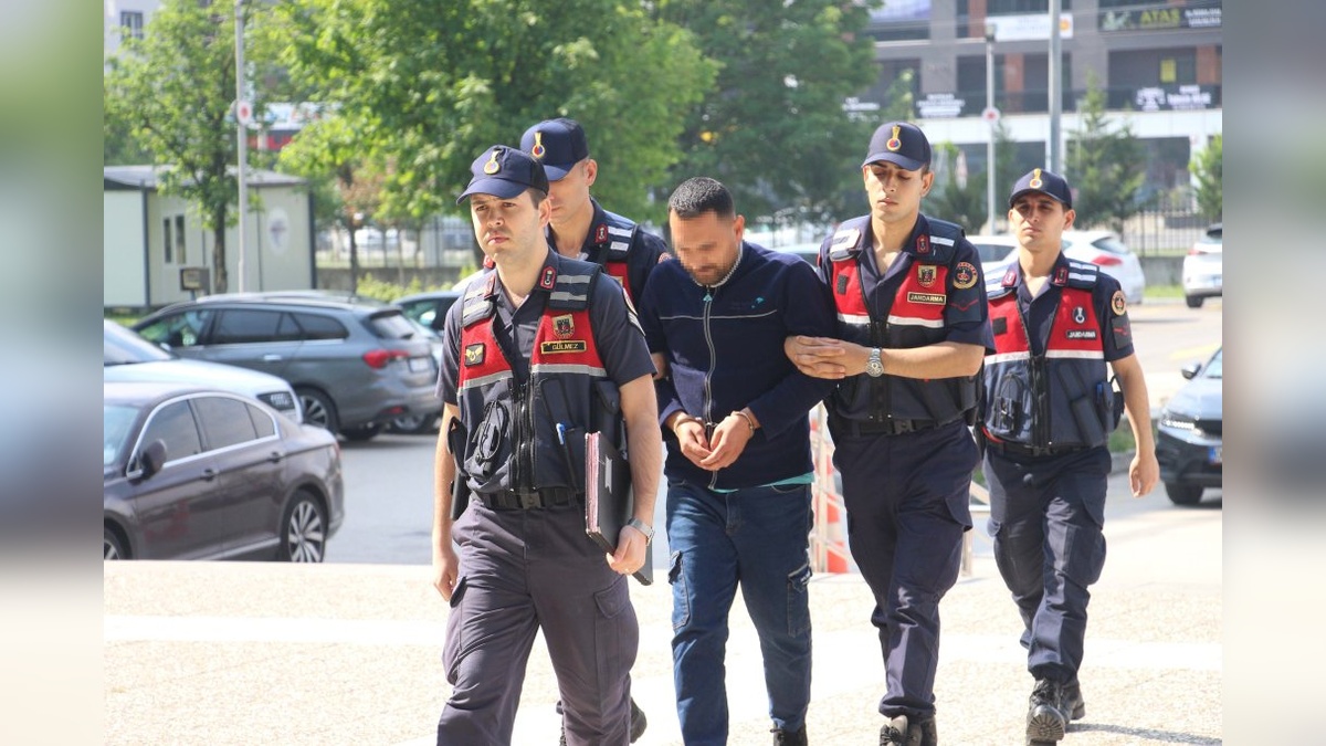 Bolu'da ormanda kenevir yetiştiren şüpheli yakalandı