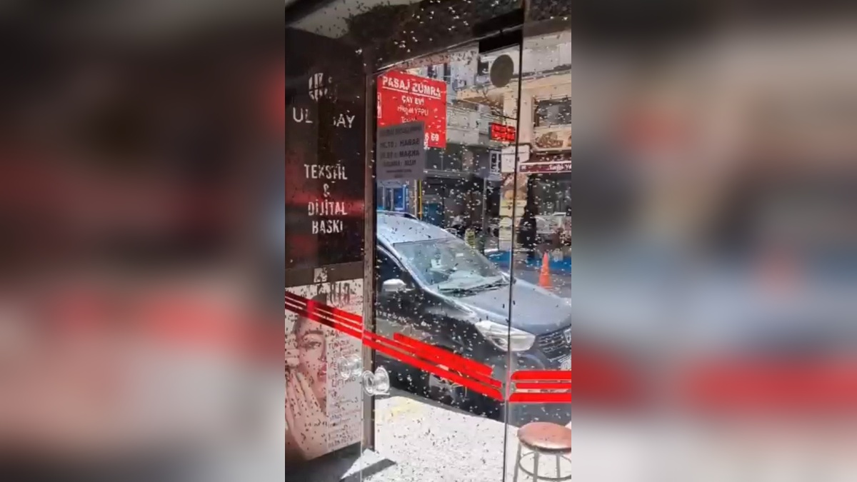Bursa'da iş hanına arı oğulu: Çalışanlar bir saat bekledi