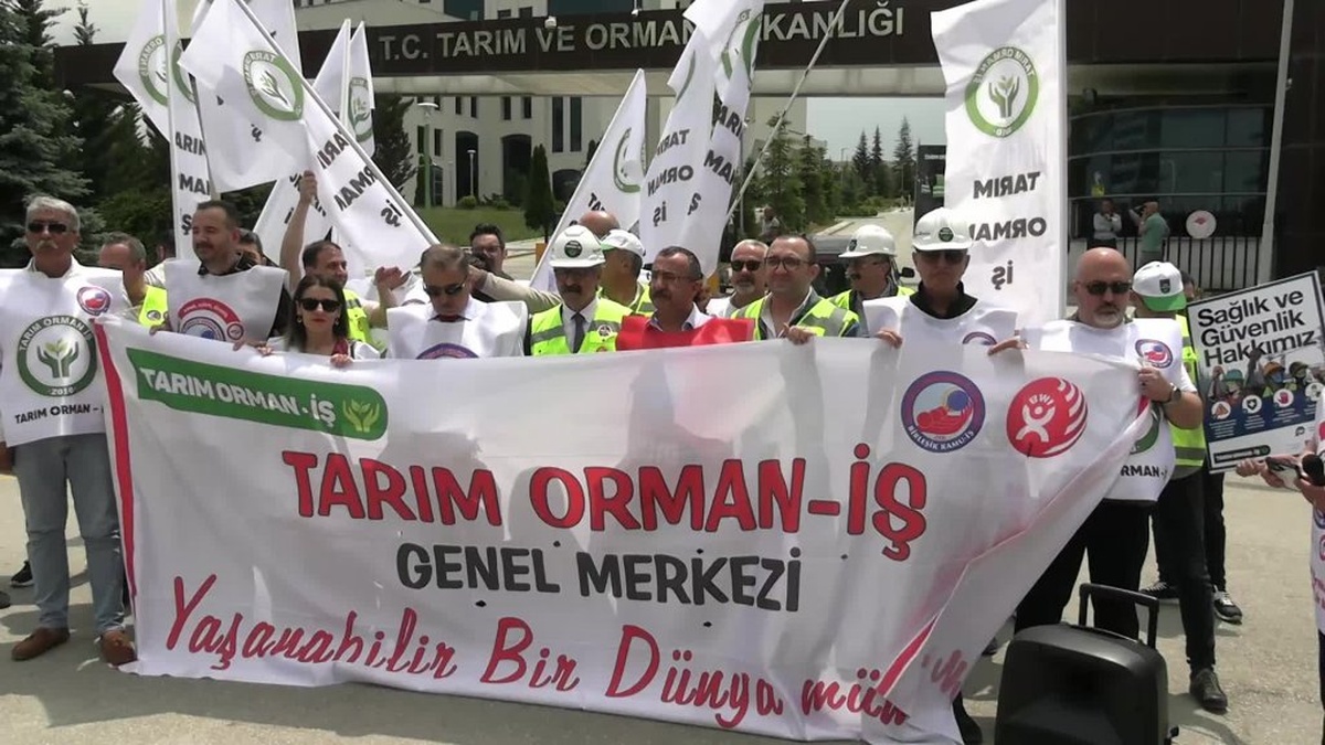 Birleşik Kamu-İş'ten Tarım Politikaları Eleştirisi: 'Üretici Mağdur, Halk Yüksek Fiyatlarda Eziliyor'