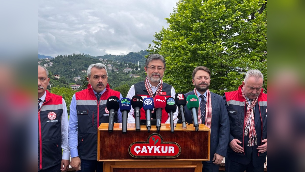 Yumaklı Rize'de: Çay üretiminde korkulan iklim etkisi yaşanmadı