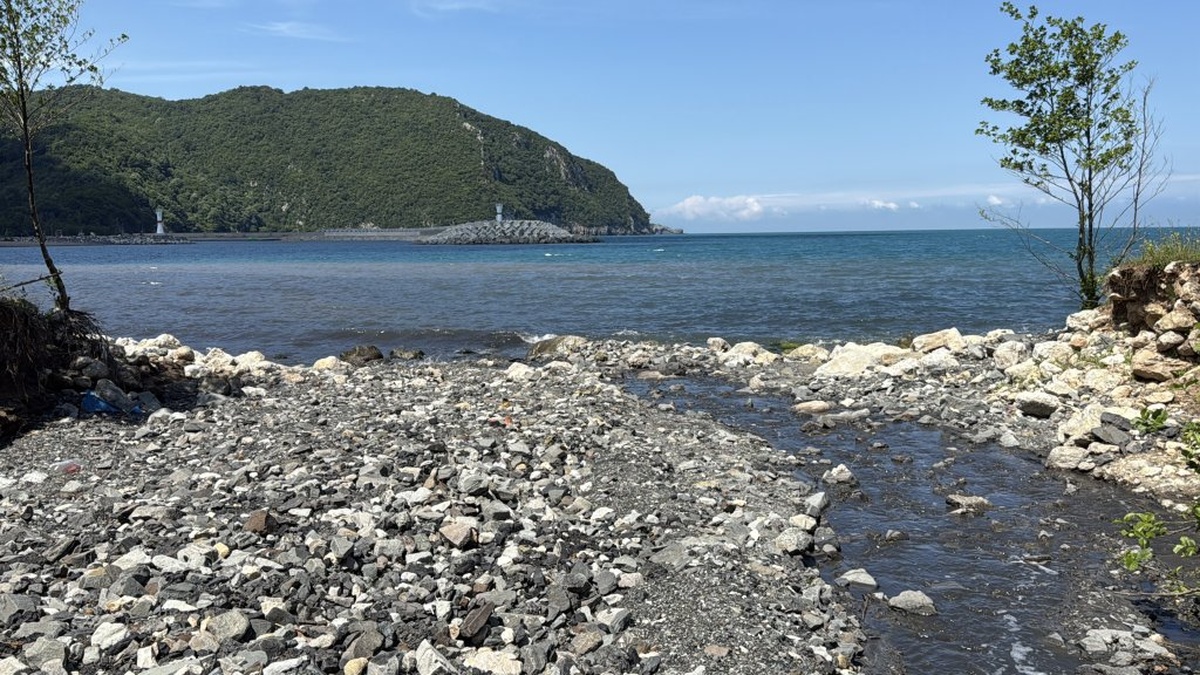 Bartın'da deniz kirliliği: Amasra sahili siyah renge büründü