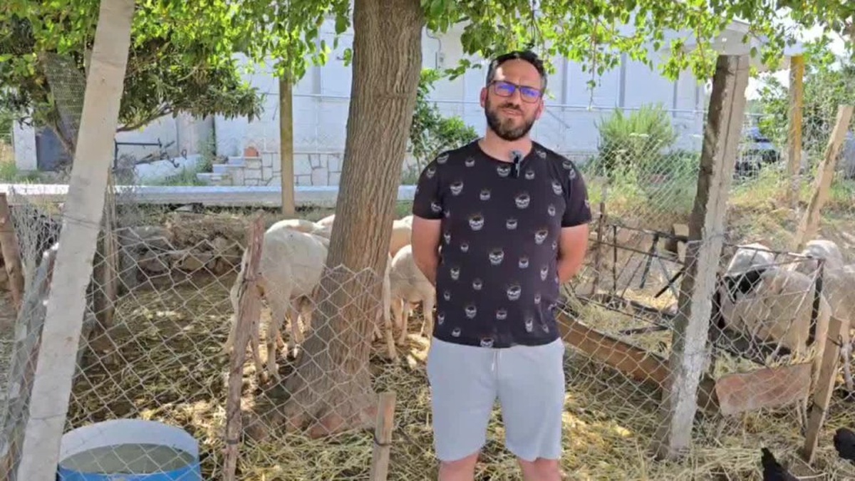Aydın'ın Bozdoğan ilçesinde hayvancılık krizi: 'Hiç bu sene kadar zor bir sene olmadı'