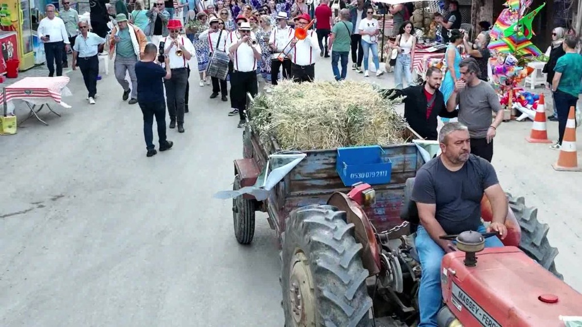 Mudanya'da Tirilye Zeytin Çiçeği Festivali başladı