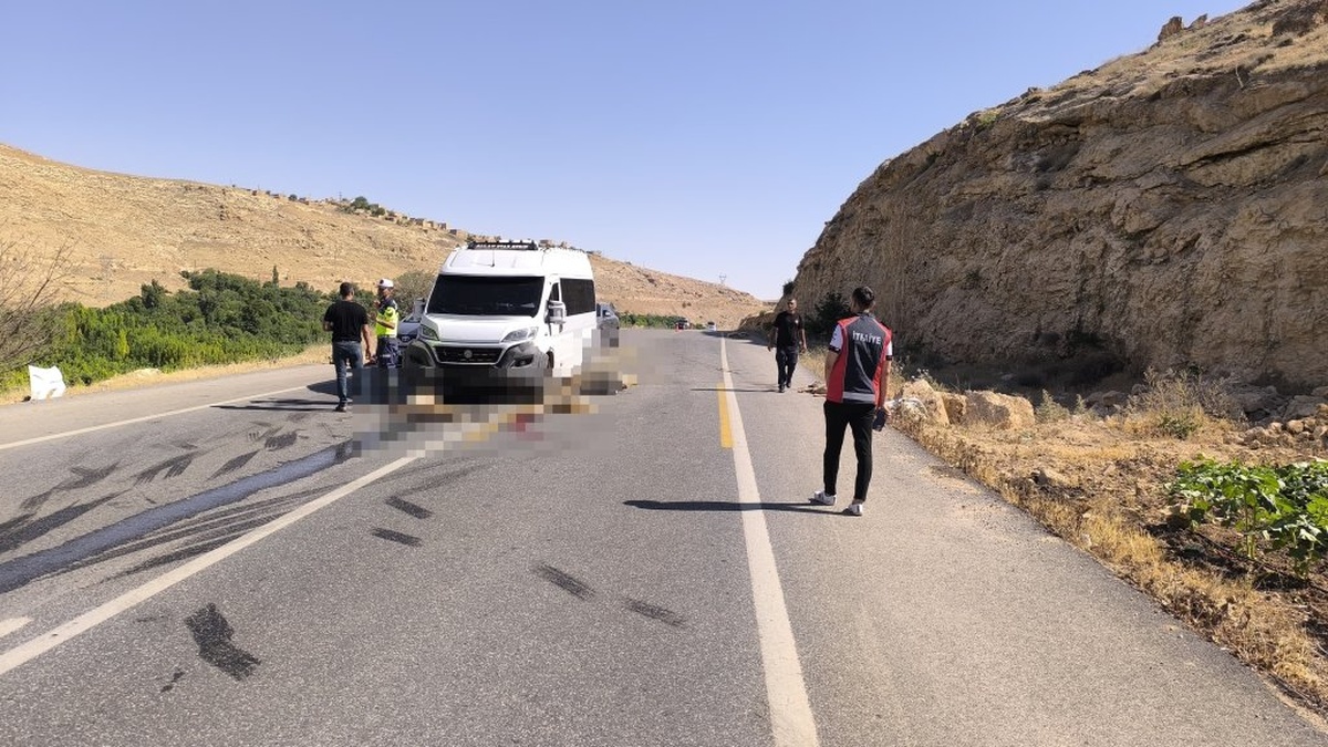 Nusaybin'de kaza: 13 küçükbaş telef oldu