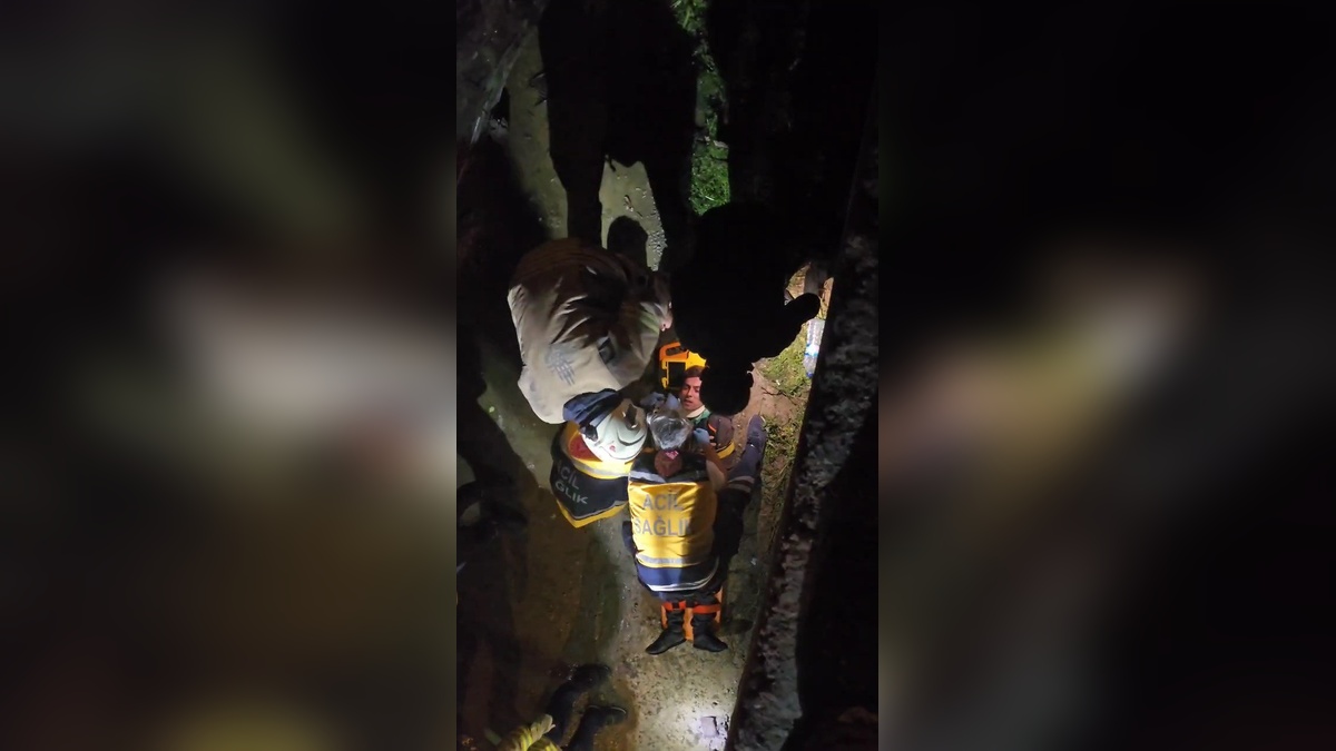 Beykoz'da otomobil dereye uçtu: Yaralı yolcu kurtarıldı, sürücü kayıp