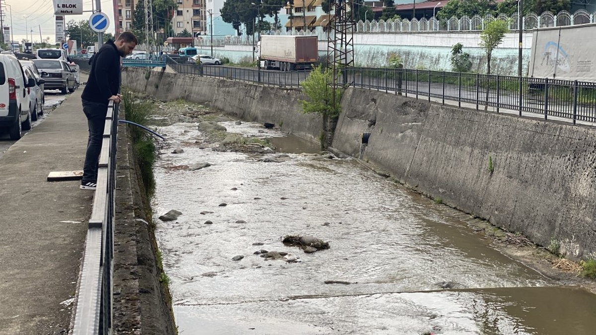 Rize'de derede balık ölümleri: Çevre ekipleri inceleme başlattı