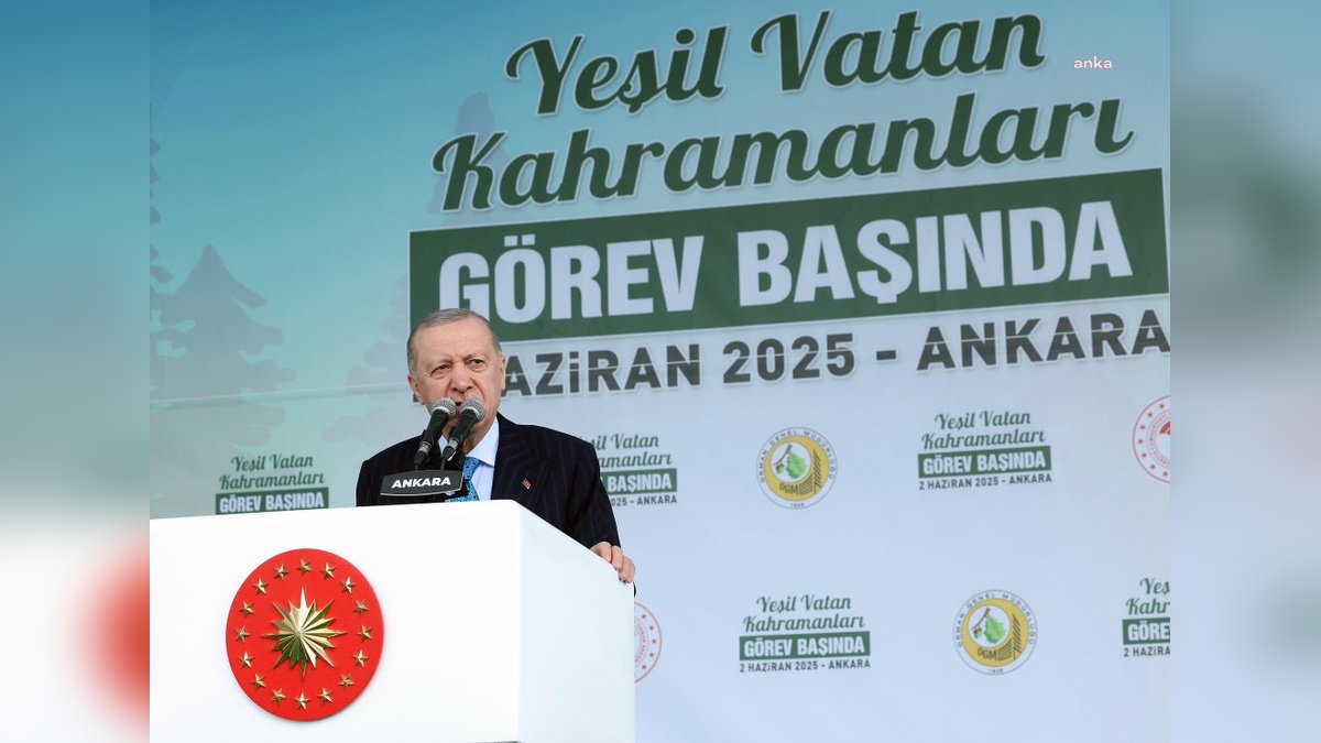 Erdoğan: Yangın fotoğraflarının çoğu dezenformasyon propagandası