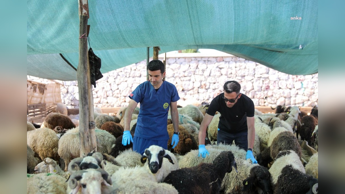 Buca Belediyesi, Kurban Bayramı öncesi denetimleri sıklaştırdı