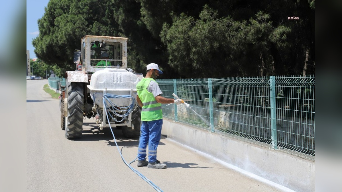 Turgutlu'da Kurban Bayramı öncesi kireçleme çalışmaları tamamlandı