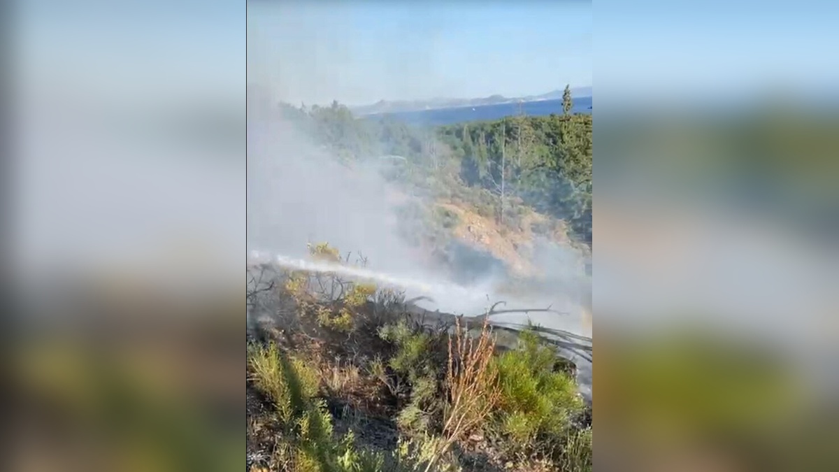 Muğla ve Aydın'da üç orman yangını söndürüldü