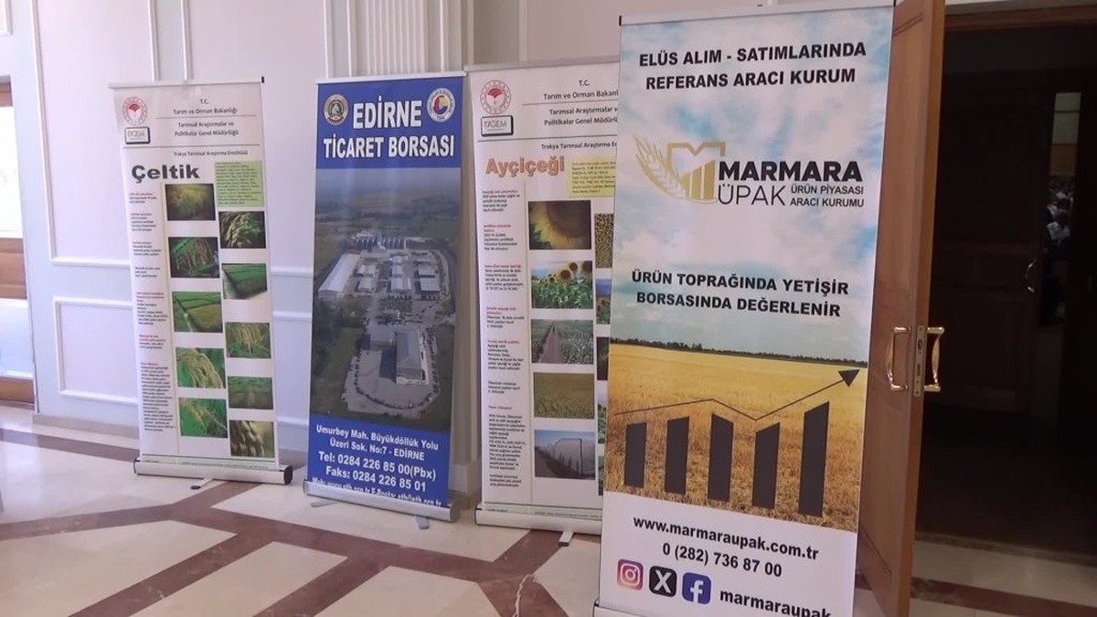 Edirne'de 720 bin ton buğday üretimi bekleniyor