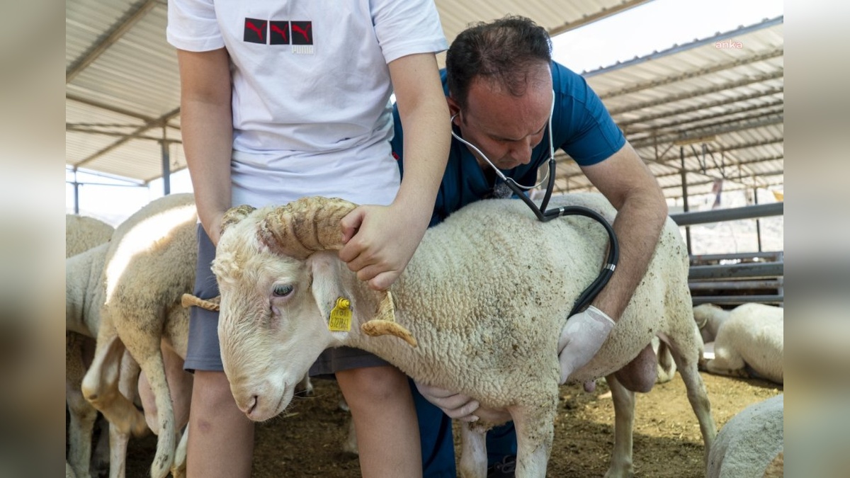 Karşıyaka Belediyesi, Kurban Bayramı için hazırlıklarını tamamladı