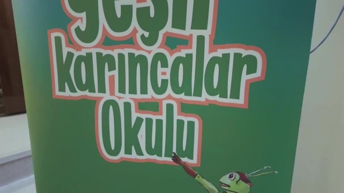 Adalar'da çocuklar için çevre etkinliği: 'Siz isterseniz, dünya değişir'