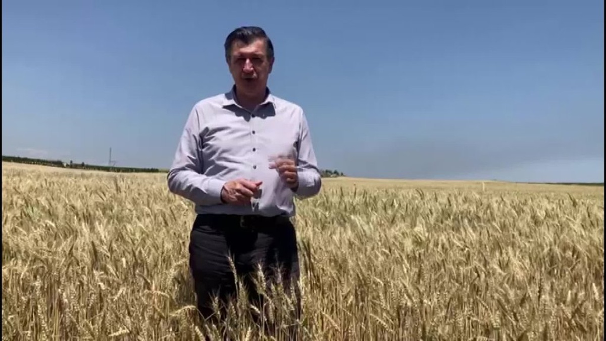 Gaytancıoğlu: Buğday alım fiyatı üretimin devamlılığını sağlamaz