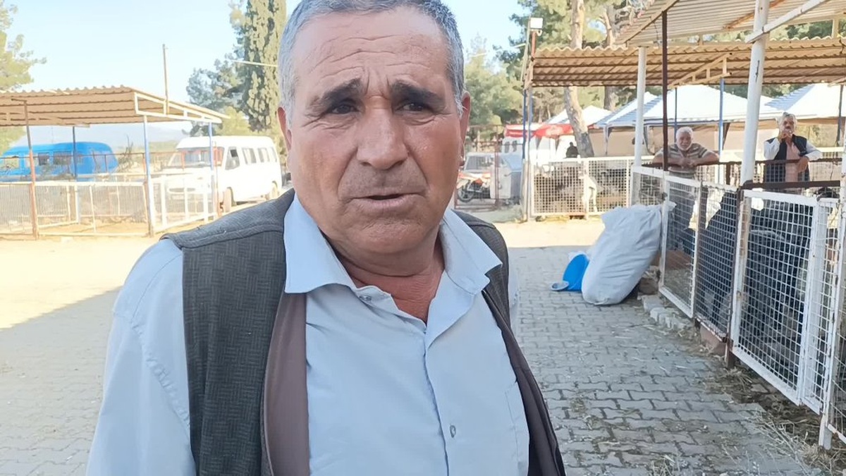 Karacasu kurban pazarında fiyatlar yükseldi: Hayvan üreticileri zor durumda