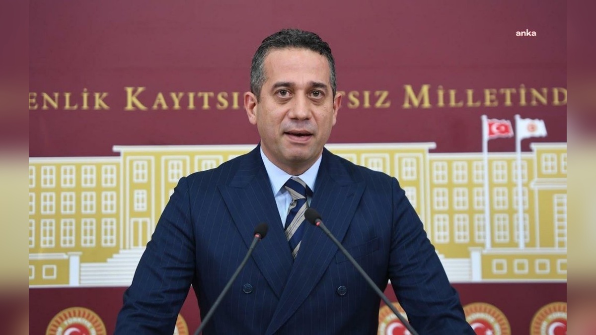 Başarır: Özel, yargıya değil, saraya hizmet edenlere konuştu