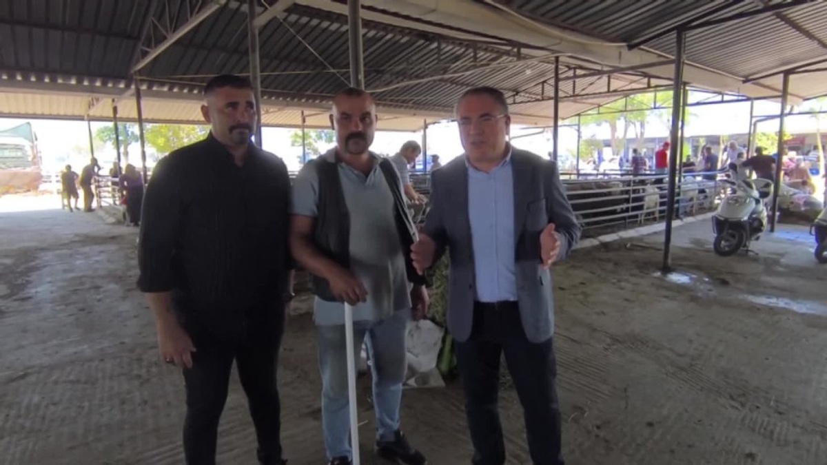Evrim Karakoz, Aydın hayvan pazarındaki düşük satışlardan endişe duydu