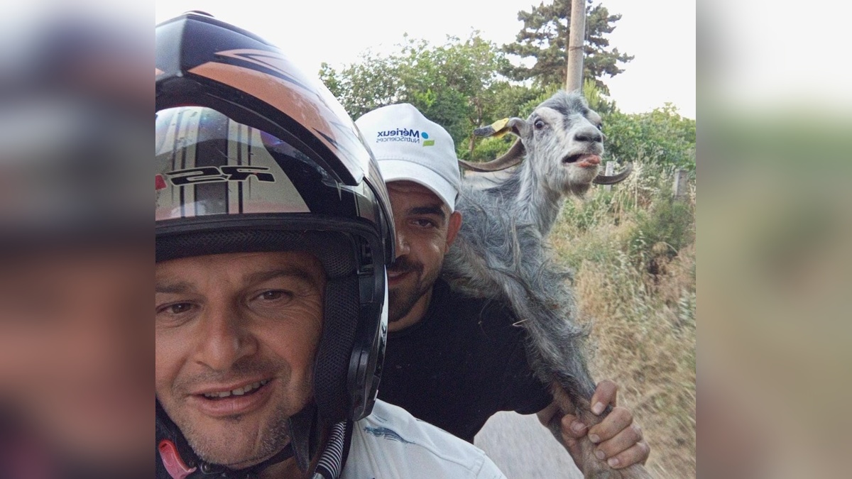 Orhangazi'de kaçan keçi motosikletle yakalandı