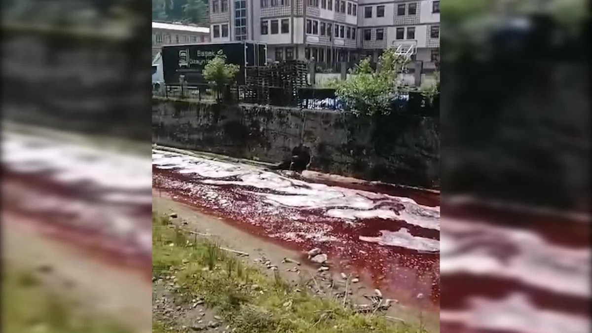 Rize'de kurban kanı Karadeniz'i kırmızılığa boyadı