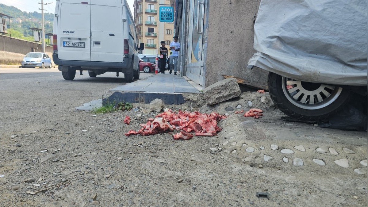 Zonguldak'ta kurbanlık hayvan artıkları sokakta bırakıldı
