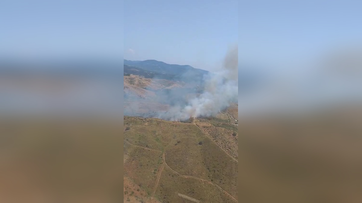 Seferihisar'da orman yangını: Havadan ve karadan müdahale sürüyor