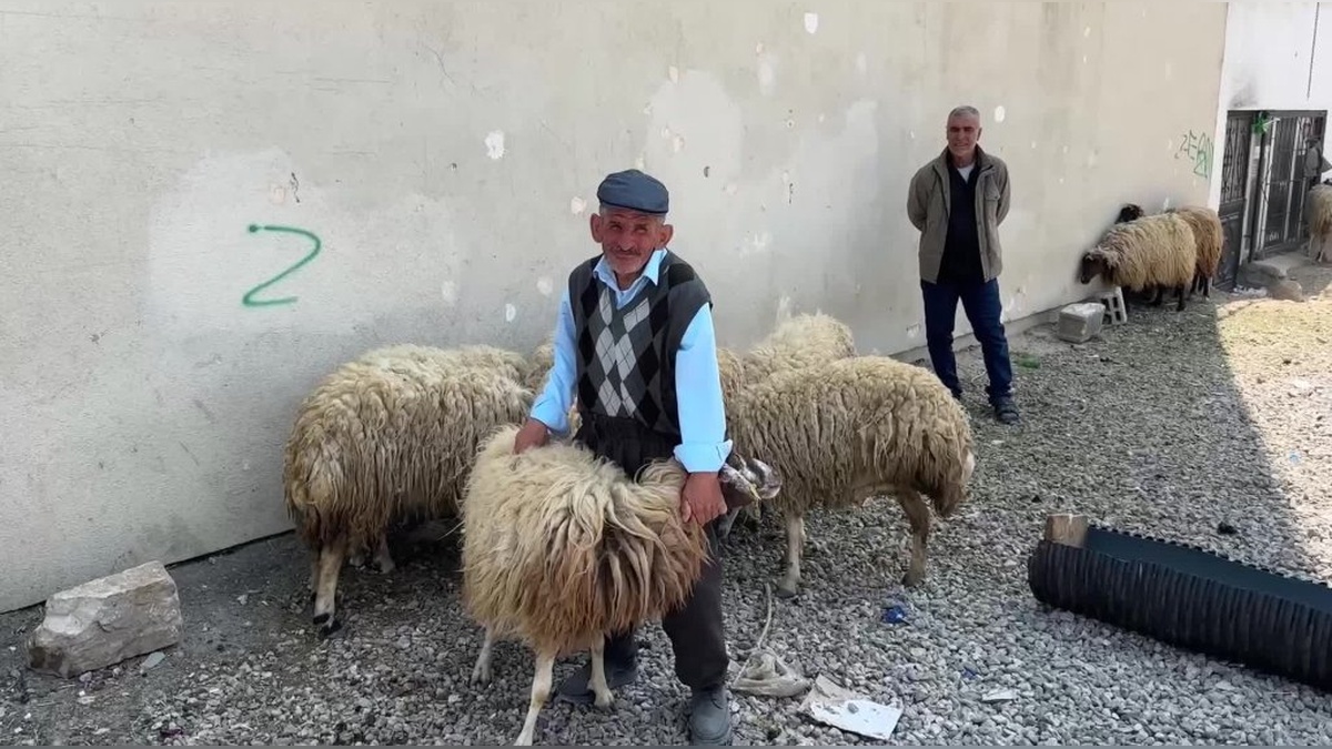 Van'da kurban pazarında hareketsizlik: Besiciler zararına satış yapıyor