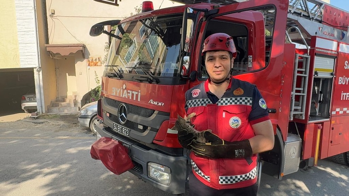 Pamukova'da ağaçta mahsur kalan kedi yavrusu kurtarıldı