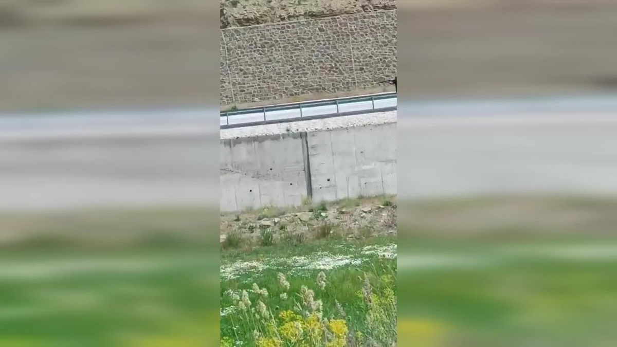 Van'da kaçak avcı sosyal medya paylaşımıyla yakalandı