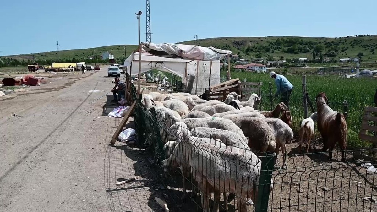 Yozgat'ta kurbanlık pazarında hayvanlar elde kaldı