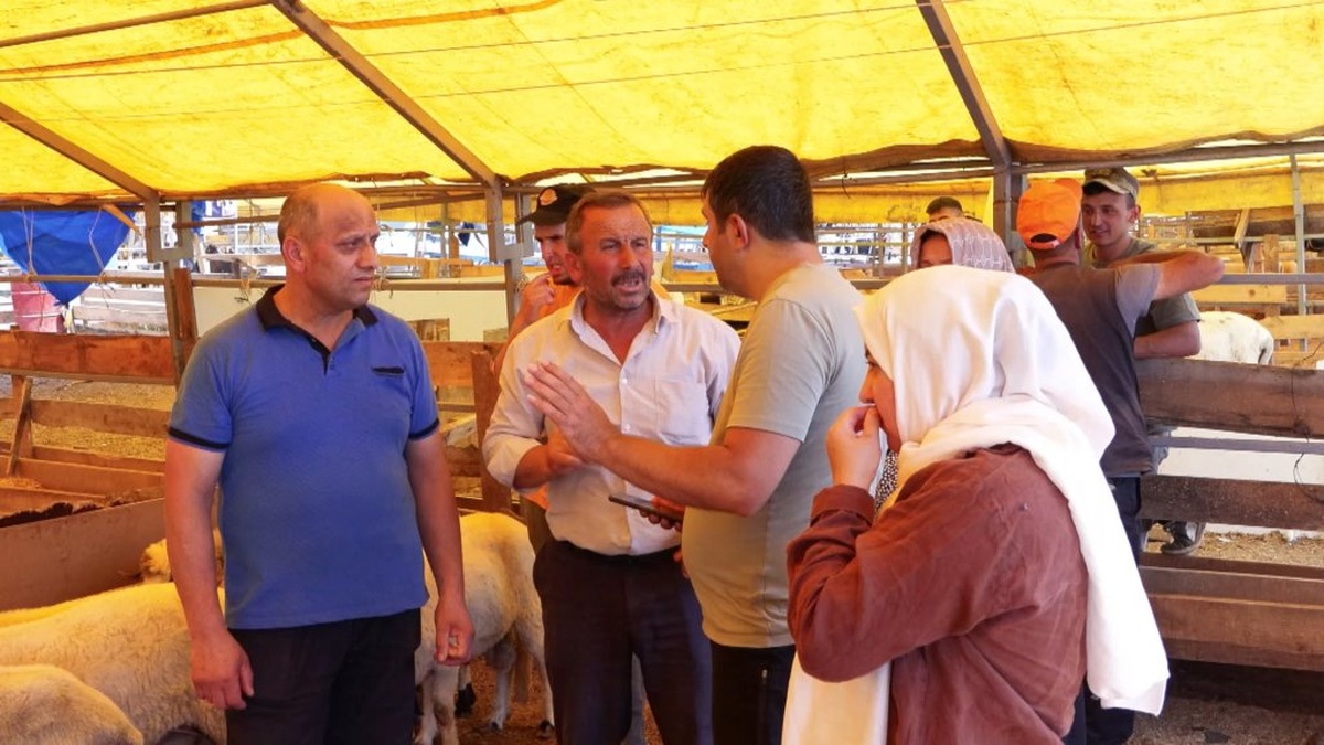 İstanbul Bahçelievler'de kurban pazarı kapanıyor: Son kurbanlıklar indirimli fiyatlarla satılıyor
