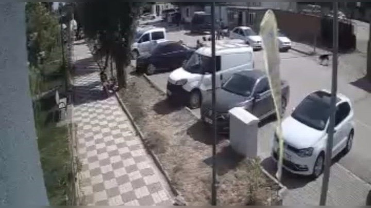 İslahiye'de sokak köpekleri çocuklara iki kez saldırdı
