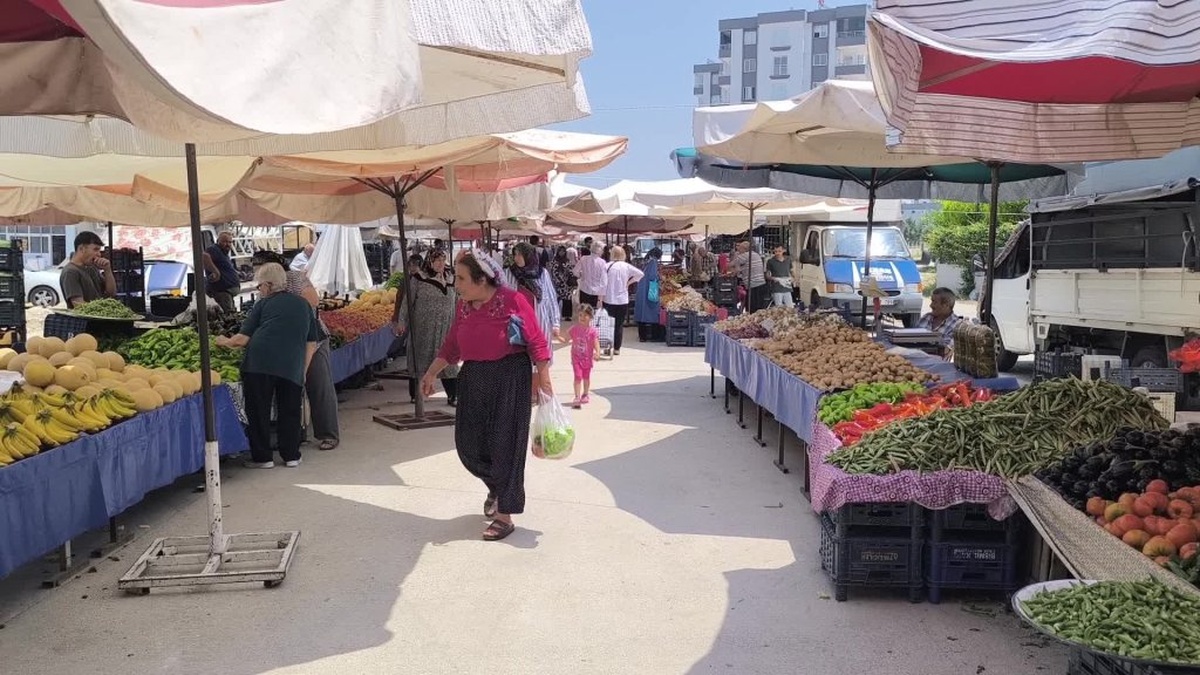 Osmaniye'de don olayı limon fiyatlarını yükseltti: 27 lira