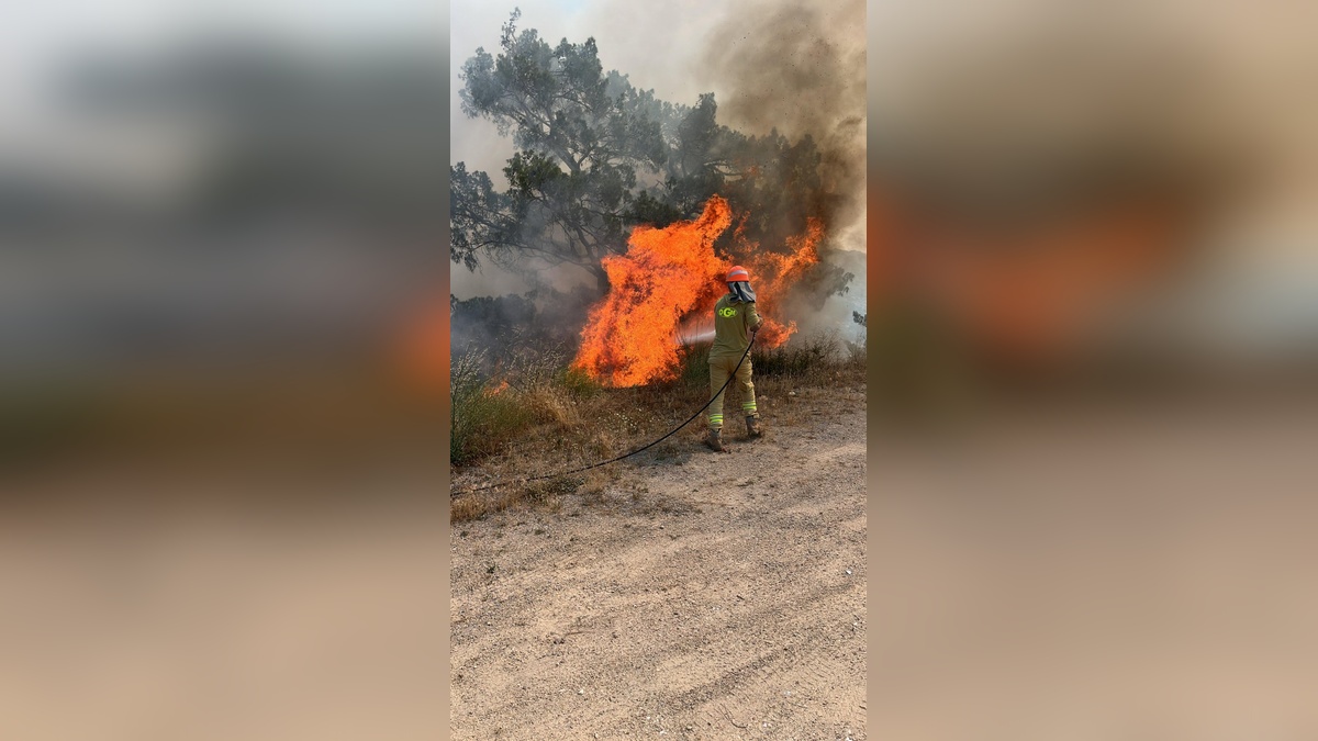 Muğla'da orman yangını: 2 hektarlık alan zarar gördü