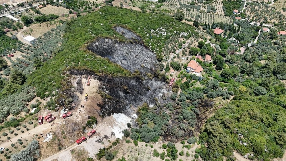 İzmir'in Kemalpaşa ilçesindeki orman yangını kontrol altına alındı