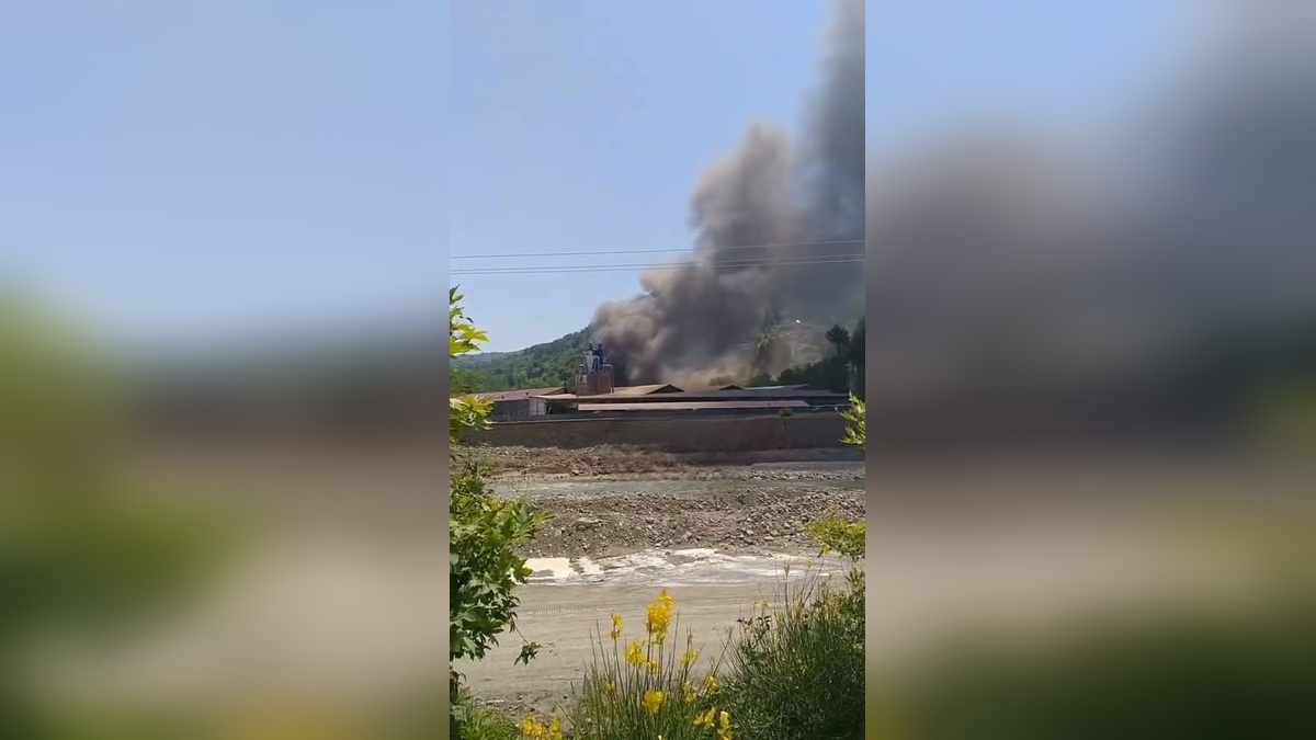 Ayancık'ta kereste fabrikası yemekhanesinde yangın