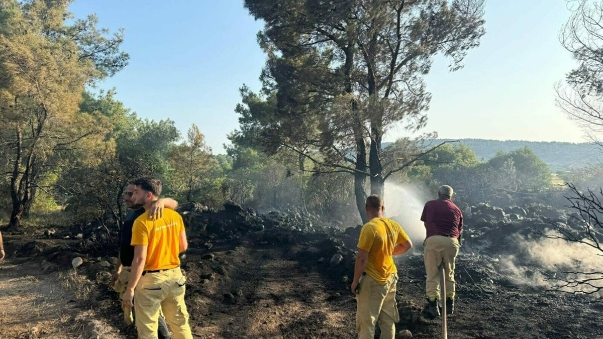 Urla'da orman yangını: Mangal yapan şüpheli tutuklandı