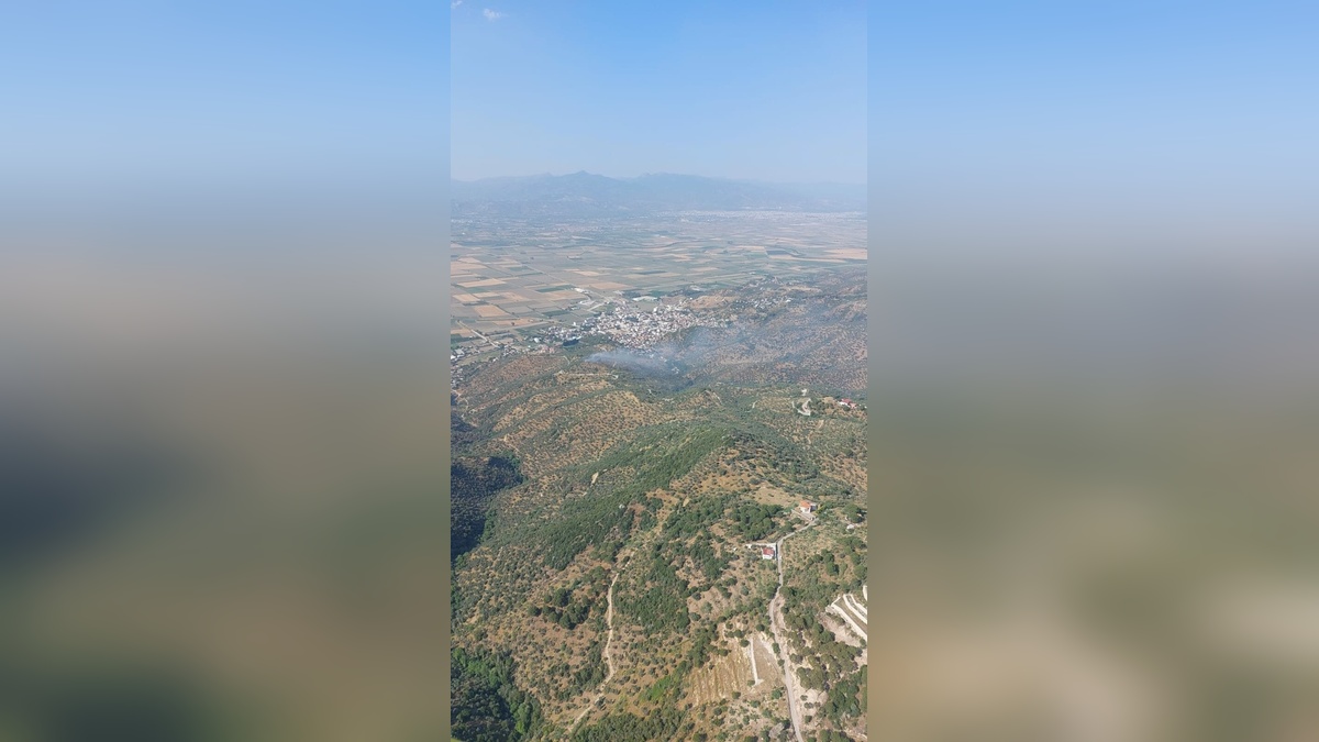 Aydın'da zeytinlik alanda yangın: 3 hektar zarar