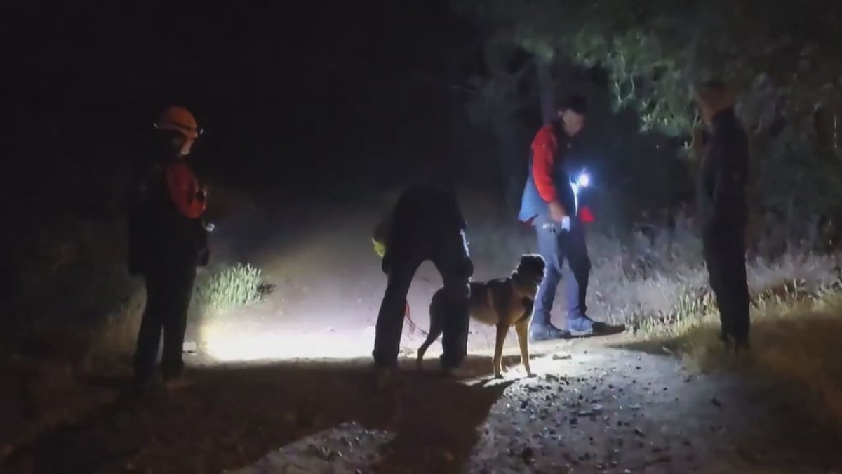 Pendik'te kaybolan Şaban Aksoy için arama çalışmaları geceye ara verildi