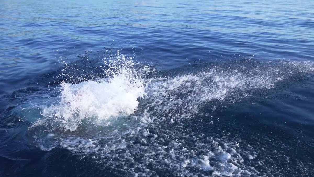 Tuna Tunca: Manş Denizi'ni geçmek için yeniden yola koyuldu